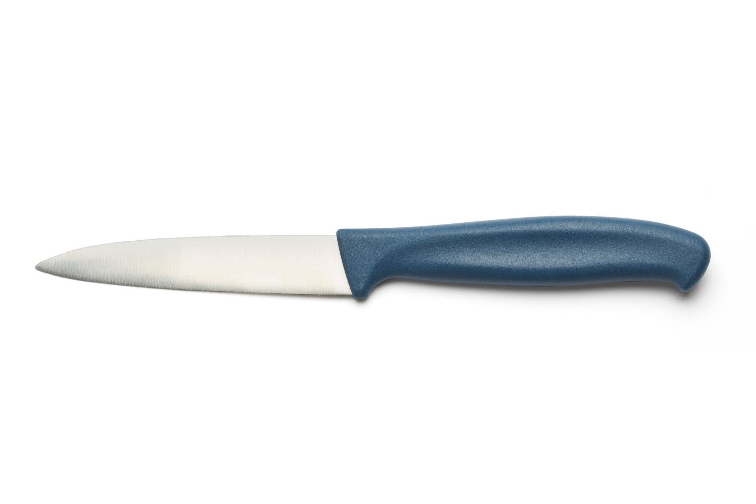 10 см, L 20,9 см, нерж. сталь / полипропилен, цвет ручки синий, Puntillas (7537) фото