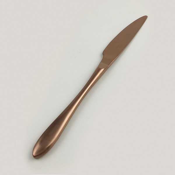 Нож столовый P.L. Proff Cuisine 23,5 см матовая медь PVD Alessi-Copper фото