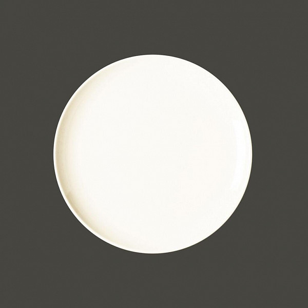 Тарелка круглая плоская RAK Porcelain Nano 24 см фото