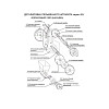 Пластина защитная внутренняя (нижний скребок) Foodatlas для JGL-135, фторопласт фото