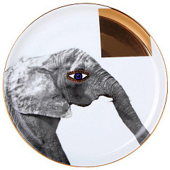 Тарелка мелкая Porland 20 см Wild Life Elephant (162920) в Екатеринбурге, фото