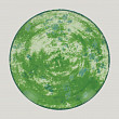 Тарелка круглая плоская RAK Porcelain Peppery 24 см, зеленый цвет