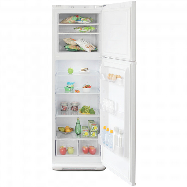 Холодильник Бирюса 139 фото