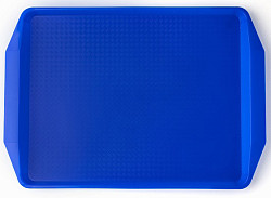 Поднос Мастергласс 1732-123 42х30 см, голубой в Екатеринбурге, фото