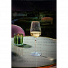Бокал для вина Chef and Sommelier 350 мл хр. стекло Симметрия фото