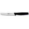 Нож для стейка Icel 10см, ручка черный пластик 24100.5013000.110 фото