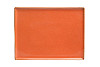 Блюдо прямоугольное Porland 21х27см фарфор цвет оранжевый Seasons (358827) фото