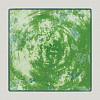 Тарелка квадратная плоская RAK Porcelain Peppery 30*30 см, зеленый цвет фото