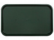 Поднос столовый из полистирола Luxstahl 530х330 мм темно-зеленый