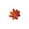 Насадка кондитерская Martellato Закрытая Роза d=15мм малая нерж [BR 330] фото