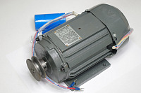 GDS250A/155 belt motor фото