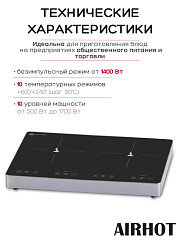 Плита индукционная AIRHOT IP3500 D в Екатеринбурге, фото 11