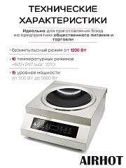 Плита индукционная WOK AIRHOT IP5000 WOK в Екатеринбурге, фото 3