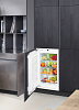 Встраиваемый холодильник Liebherr SIBP 1650 фото