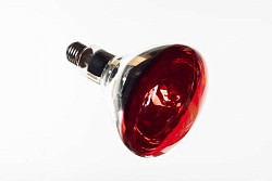 Лампа инфракрасная 250Вт Fimar арт.SL0681 в Екатеринбурге, фото