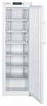 Морозильный шкаф  GG 4010