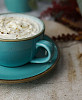 Чашка Porland 250 мл фарфор цвет бирюзовый Seasons (322125) фото