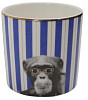 Чашка без ручки Porland 230 мл Wild Life Monkey (425423) фото