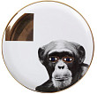 Тарелка мелкая Porland 20 см Wild Life Monkey (162920)