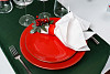 Салатник Porland d 14 см h 7 см 550 мл фарфор цвет красный Seasons (363914) фото