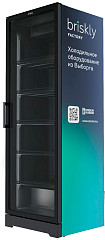 Холодильный шкаф Briskly Smart 7 Premium (RAL 7024) в Екатеринбурге, фото