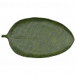 Блюдо овальное Лист P.L. Proff Cuisine 46*25,4*2,8 см Green Banana Leaf пластик меламин